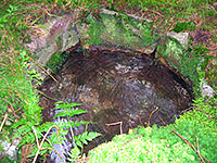 studánka nad Třítrubeckým potokem