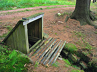 studánka U břízy