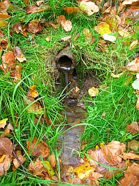 studánka v Hrachovišti