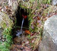 studánka pod Koníčkem