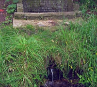 studánka pod Křešínem