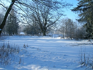 jezírko u Přední Záběhlé