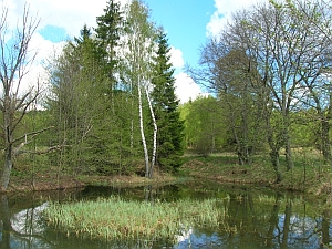 rybníček
