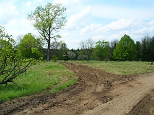 náves