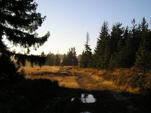Active Image