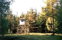 Posed pod Bílou Skálou poprvé...