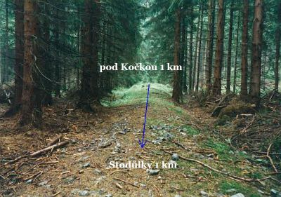 kolvinka vetev ke kocce m