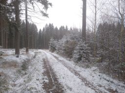 jizni kmen 2022 m