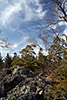 imgx 20080330 12031 m