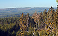 imgx 20081229 16067 m