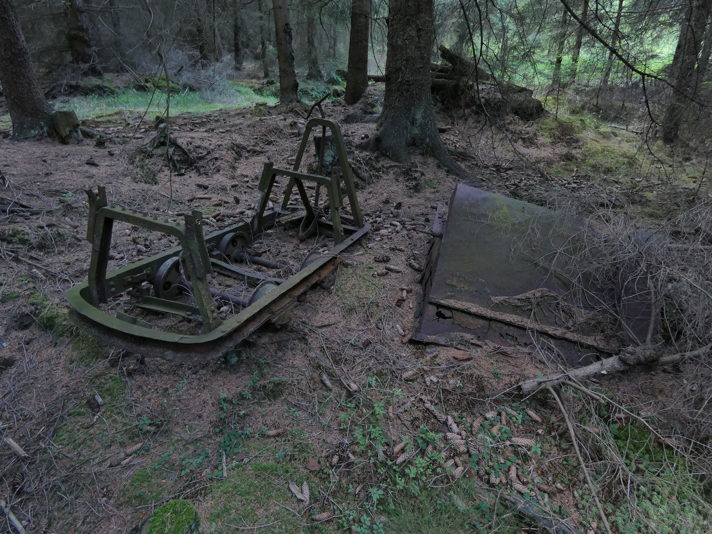huntík pod Tokem huntik