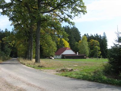 Active Image