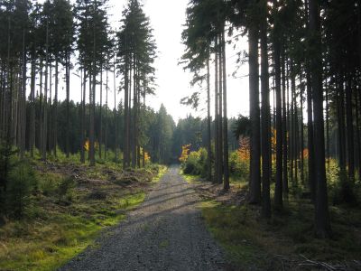 Active Image