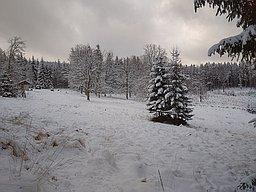 Žádný obrázek