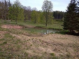 Žádný obrázek
